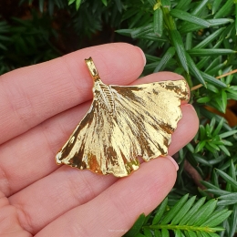Wisiorek Liść Miłorzębu Złoty - Ginko Biloba 5x4,5 cm Miłorząb Japoński