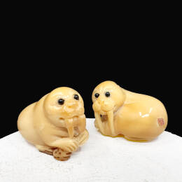 Rzeźba,Netsuke, Morsy, 37/41/22 i 26/37/25 mm