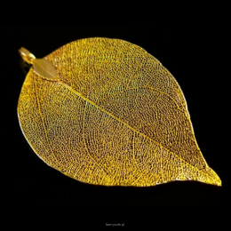 Wisiorek Liść Naturalny Żółty 4x7 cm